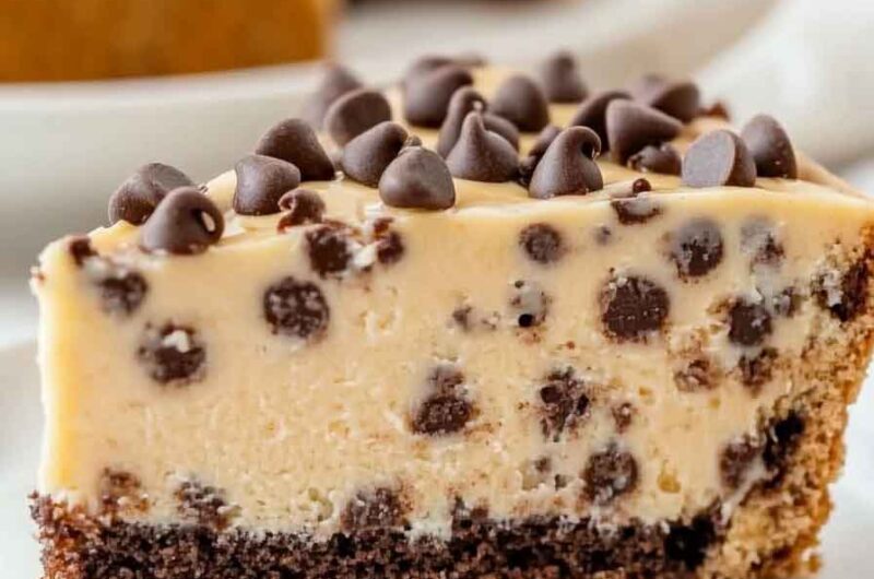 Chocolate Chip Cake Recipe