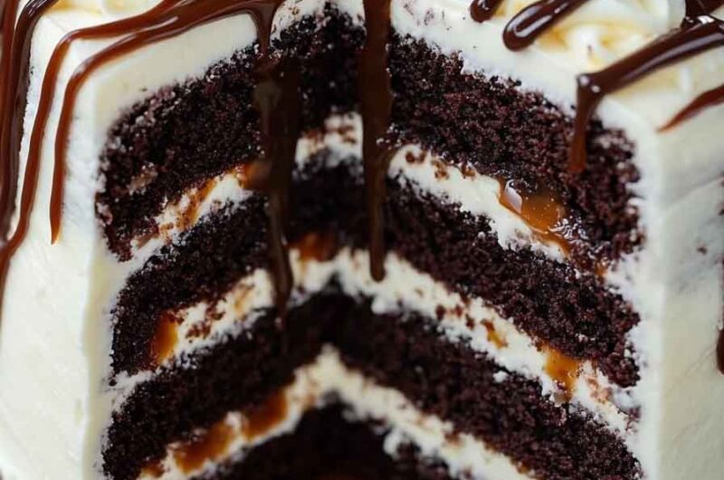 Turtle Chocolate Layer Cake Recipe