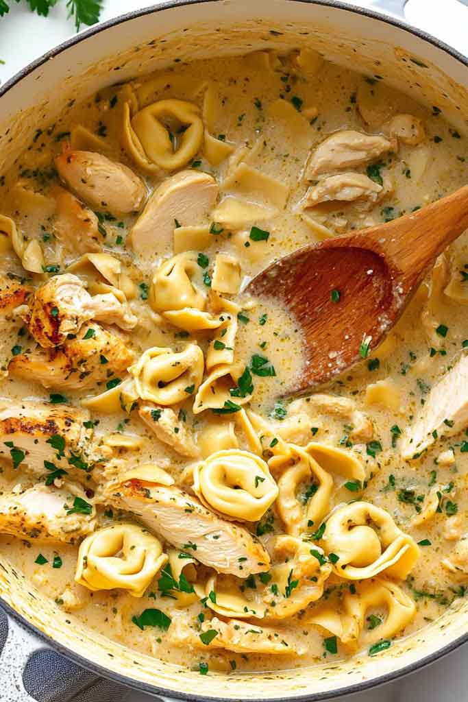 Creamy Chicken Pasta Recipes