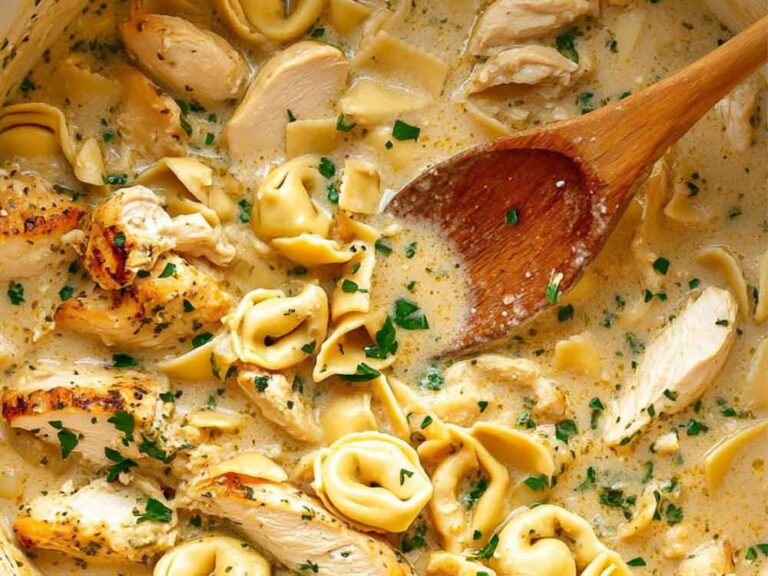 Creamy Chicken Pasta Recipes